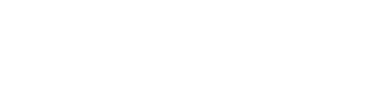 Best Pizza, Wings, Subs, in Downtown St Petersburg, Florida (727) 623-9018